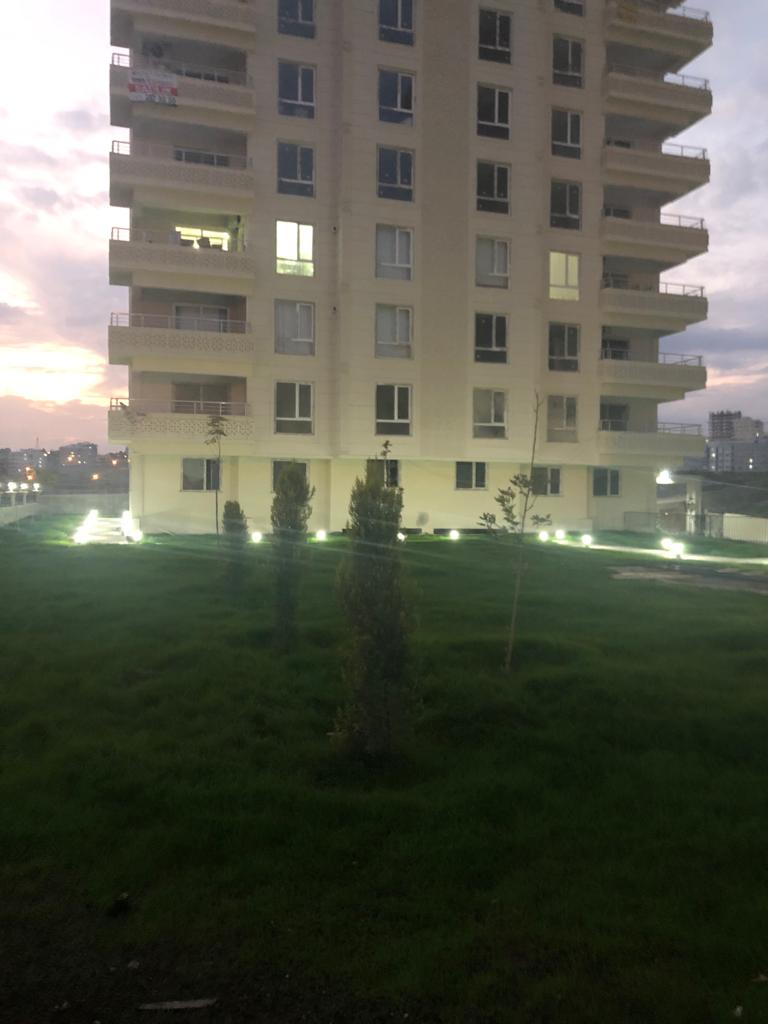 Altın Vadi 1